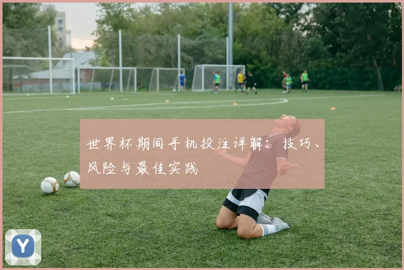 世界杯期间手机投注详解：技巧、风险与最佳实践