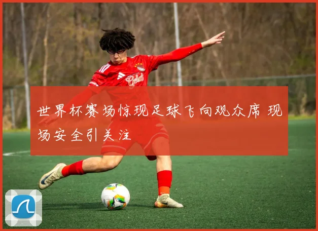 世界杯赛场惊现足球飞向观众席 现场安全引关注
