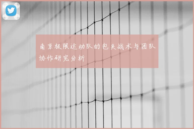 南京极限运动队的包夹战术与团队协作研究分析