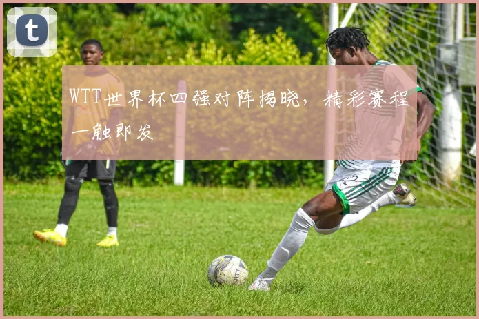 WTT世界杯四强对阵揭晓,精彩赛程一触即发