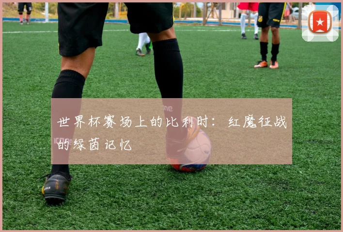 世界杯赛场上的比利时：红魔征战的绿茵记忆