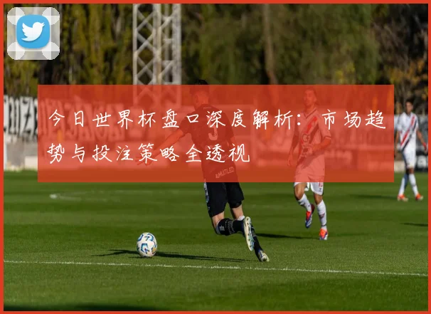 今日世界杯盘口深度解析：市场趋势与投注策略全透视