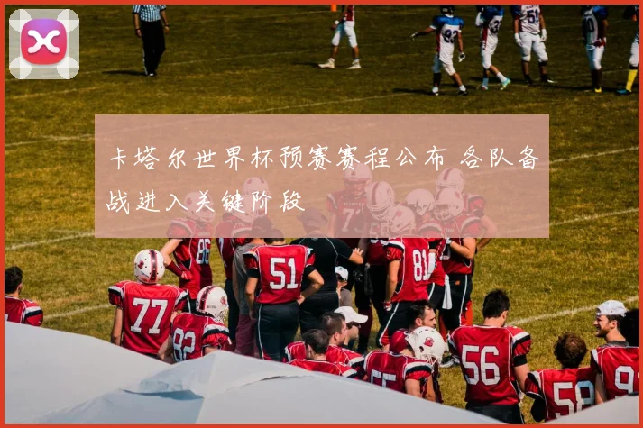 卡塔尔世界杯预赛赛程公布 各队备战进入关键阶段