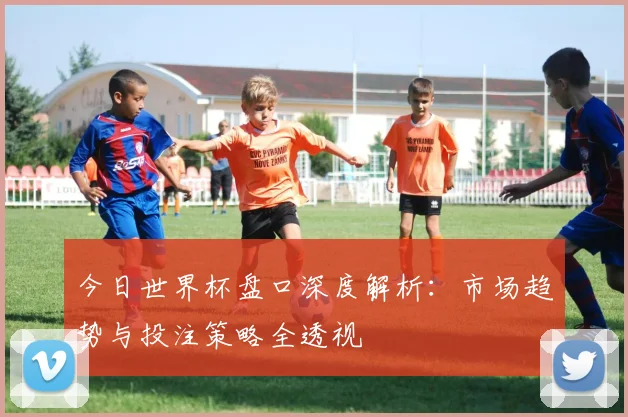 今日世界杯盘口深度解析：市场趋势与投注策略全透视