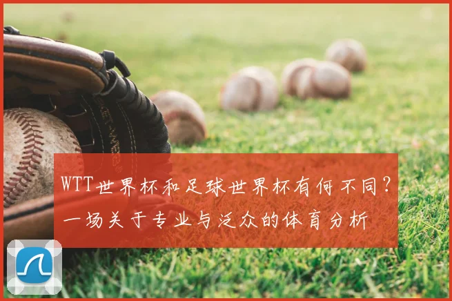 WTT世界杯和足球世界杯有何不同？一场关于专业与泛众的体育分析