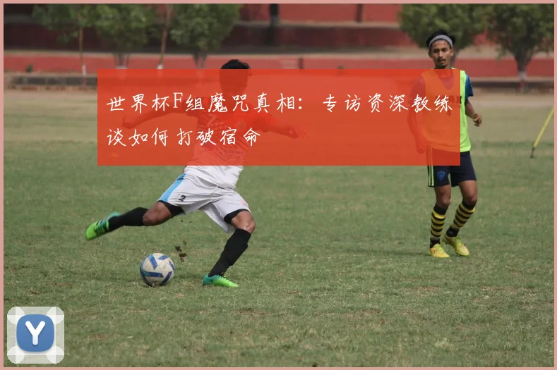世界杯F组魔咒真相：专访资深教练谈如何打破宿命