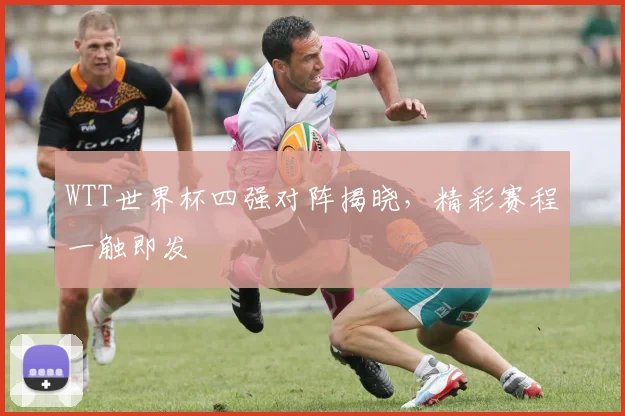 WTT世界杯四强对阵揭晓，精彩赛程一触即发