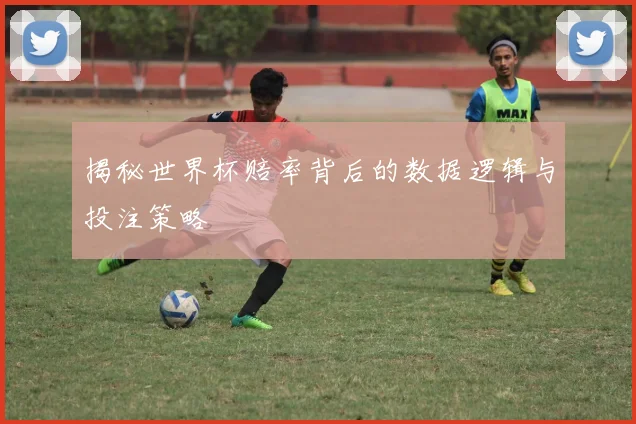 揭秘世界杯赔率背后的数据逻辑与投注策略