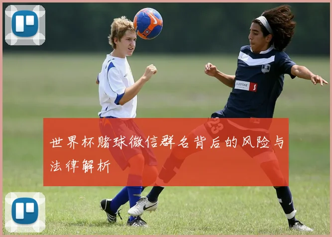 世界杯赌球微信群名背后的风险与法律解析