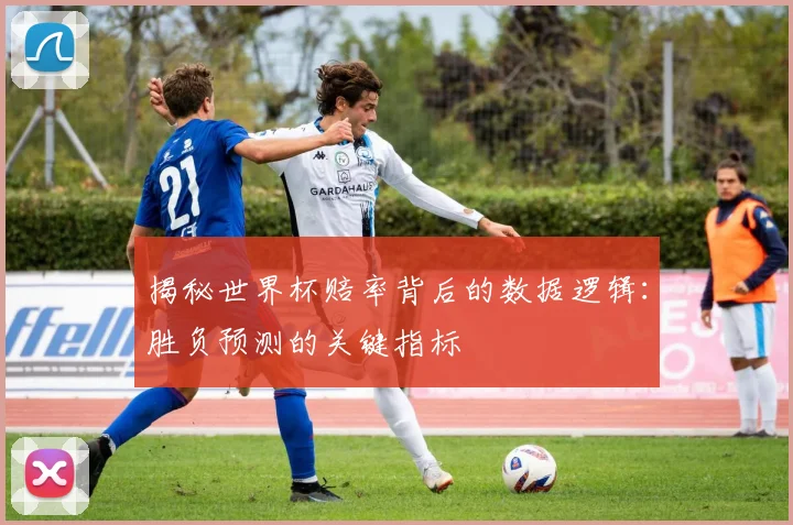 揭秘世界杯赔率背后的数据逻辑：胜负预测的关键指标