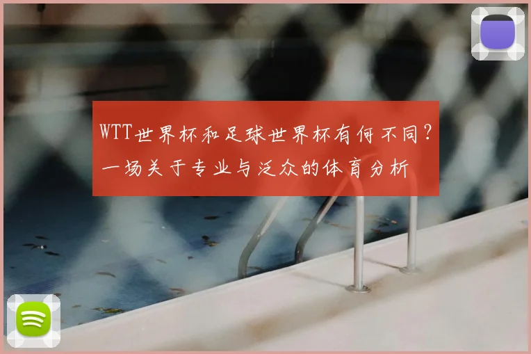 WTT世界杯和足球世界杯有何不同?一场关于专业与泛众的体育分析